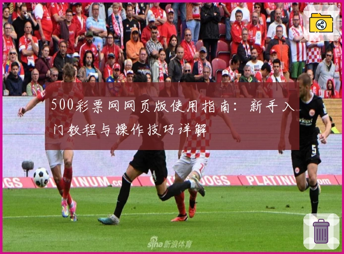 500彩票网网页版使用指南：新手入门教程与操作技巧详解